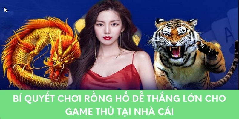 Bí quyết đánh rồng hổ dễ thắng lớn của game thủ tại nhà cái