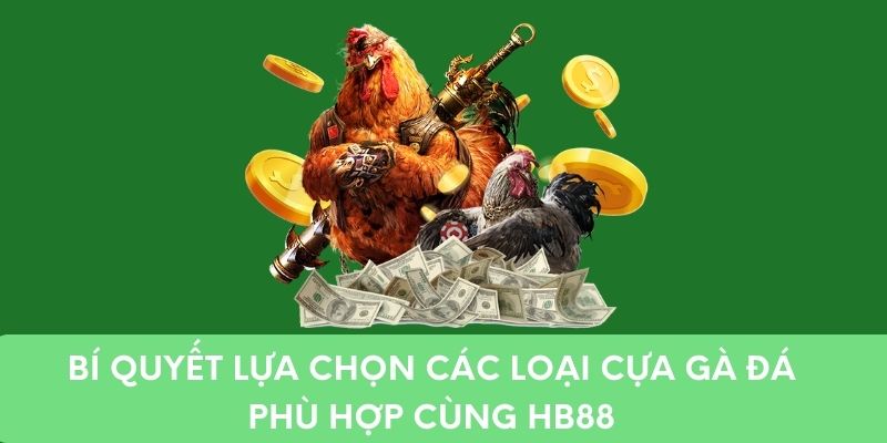 Bí Quyết Lựa Chọn Các Loại Cựa Gà Đá Phù Hợp Cùng HB88