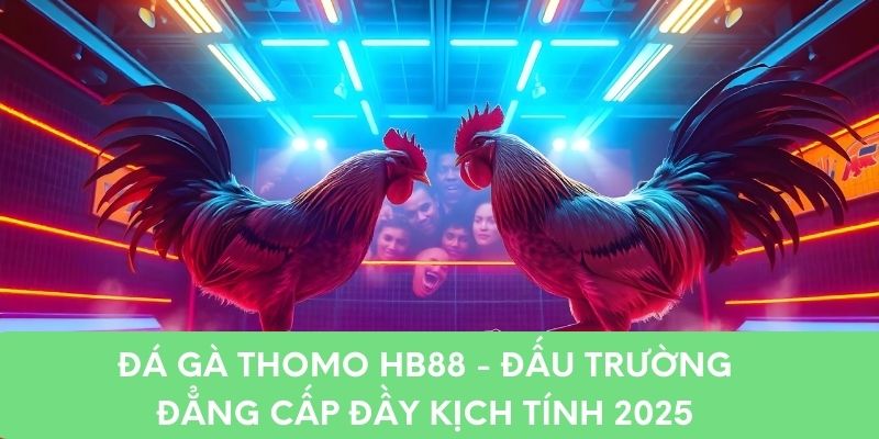 Đá Gà Thomo HB88 - Đấu Trường Đẳng Cấp Đầy Kịch Tính 2025