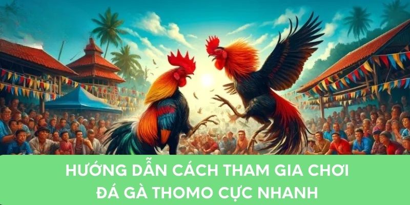 Hướng dẫn cách tham gia chơi đá gà thomo cực nhanh