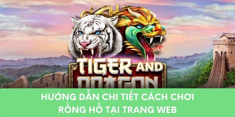 Hướng dẫn chi tiết cách chơi rồng hổ tại trang web