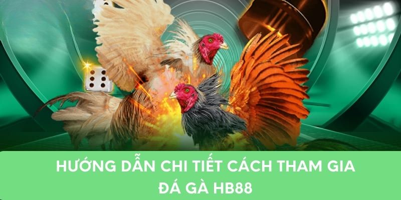 Hướng dẫn chi tiết cách tham gia đá gà HB88