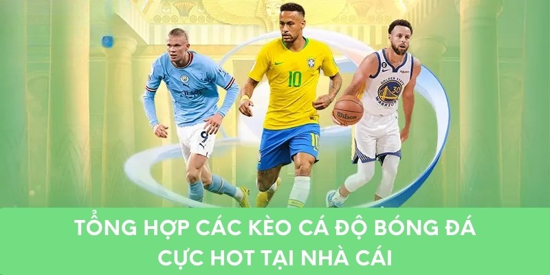 Tổng hợp các kèo cá độ bóng đá cực hot tại nhà cái