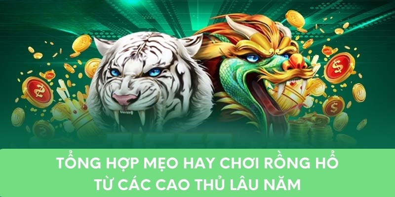 Tổng hợp mẹo hay chơi rồng hổ từ các cao thủ lâu năm