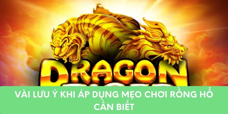 Vài lưu ý khi áp dụng mẹo chơi rồng hổ cần biết