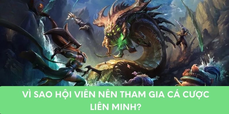 Vì sao hội viên nên tham gia cá cược liên minh?