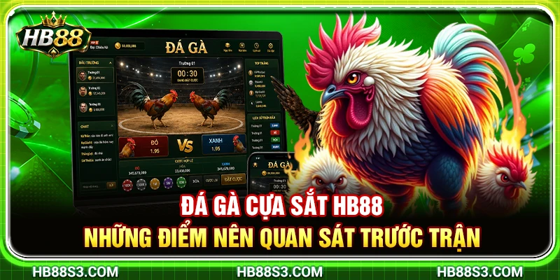 Đá Gà Cựa Sắt HB88 – Những Điểm Nên Quan Sát Trước Trận 3 Đá Gà Cựa Sắt HB88 – Những Điểm Nên Quan Sát Trước Trận