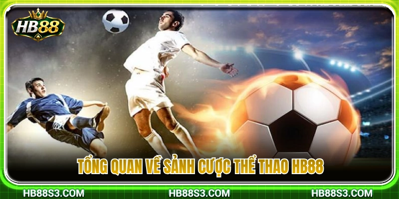Thể Thao HB88 1 Giới thiệu chung về chuyên mục cá cược thể thao HB88