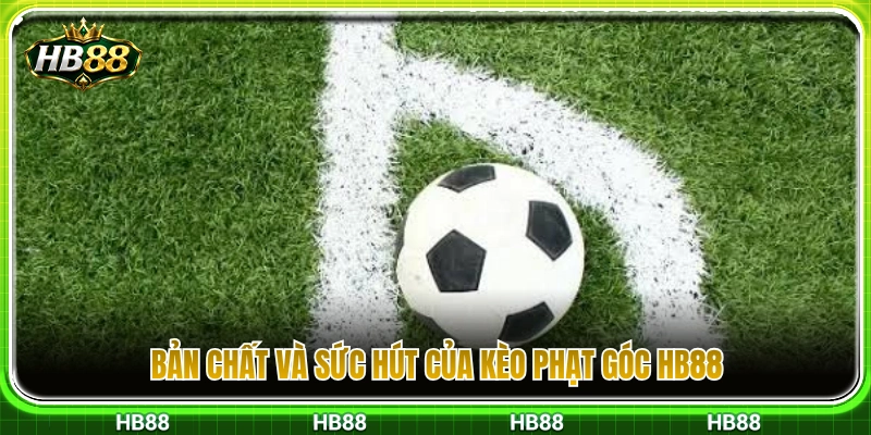 Kèo Phạt Góc HB88 – Dạng Cược Dành Cho Người Thích Thống Kê 2 Ý nghĩa cốt lõi và sức hấp dẫn của kèo phạt góc HB88