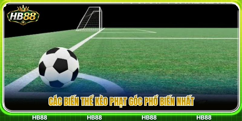 Kèo Phạt Góc HB88 – Dạng Cược Dành Cho Người Thích Thống Kê 3 Phân loại các biến thể cược phạt góc phổ biến trong bóng đá